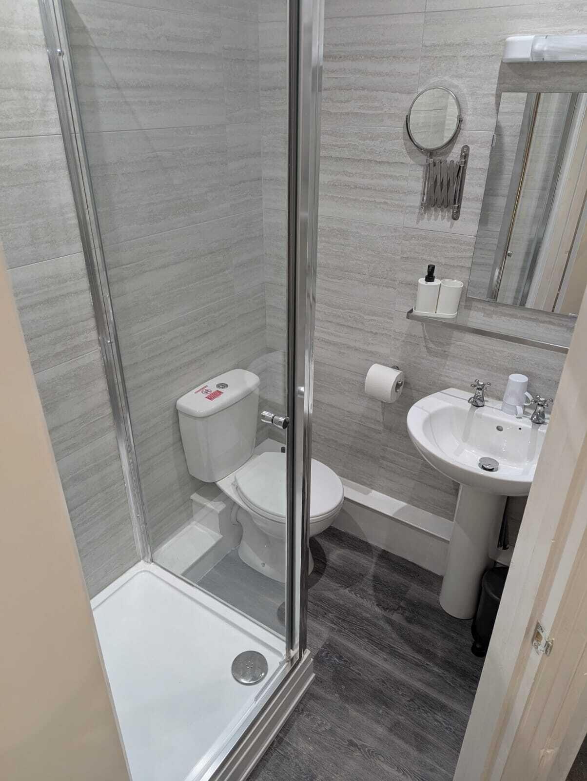 A modern bathroom with a glass shower enclosure, a toilet, a sink, and a mirror.
