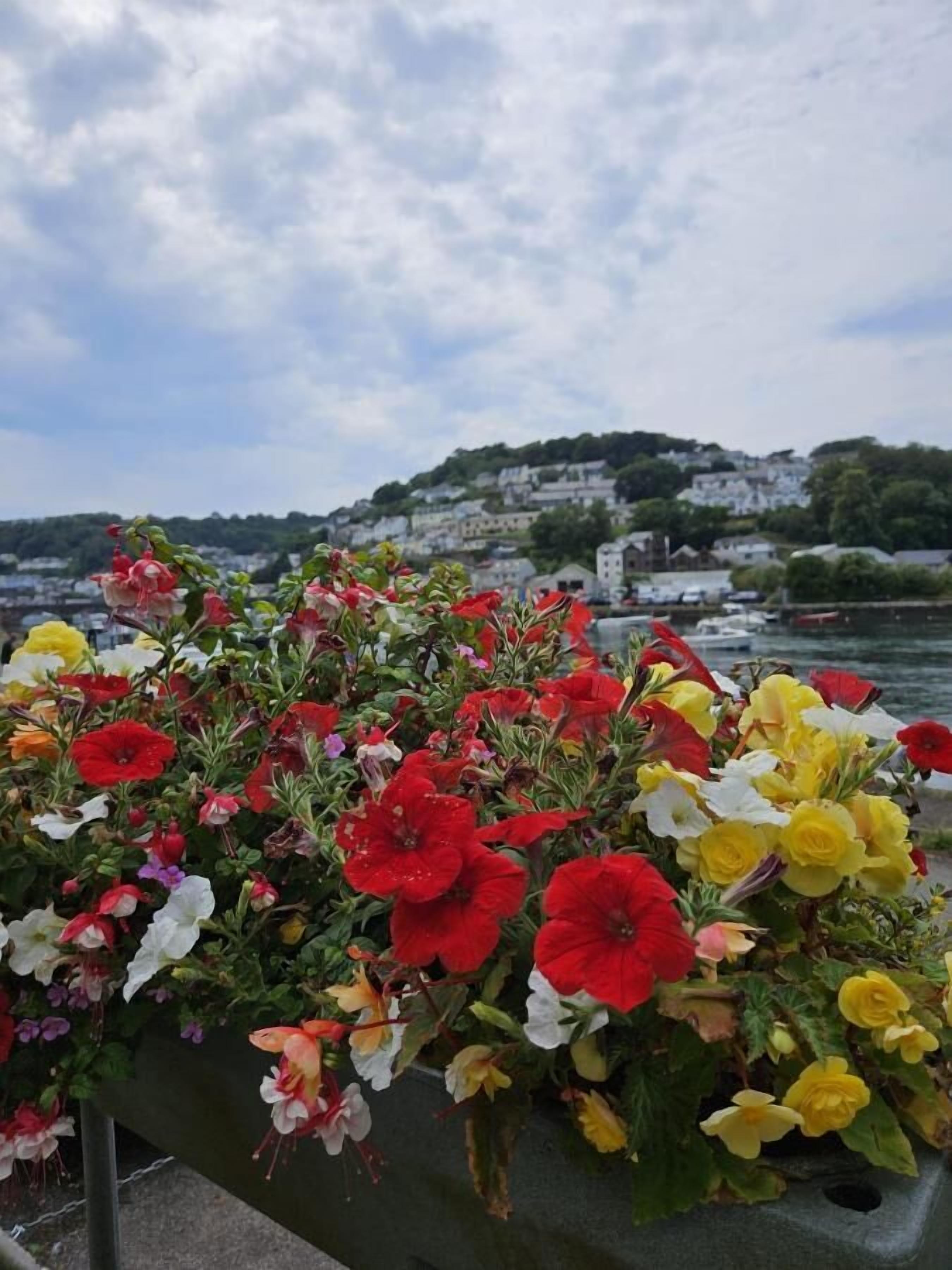 Une composition florale avec, en arrière-plan, une étendue d’eau et des bâtiments.