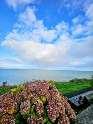 A coastal landscape with a grassy area and a bench. - Fieldhead Hotel (Looe)