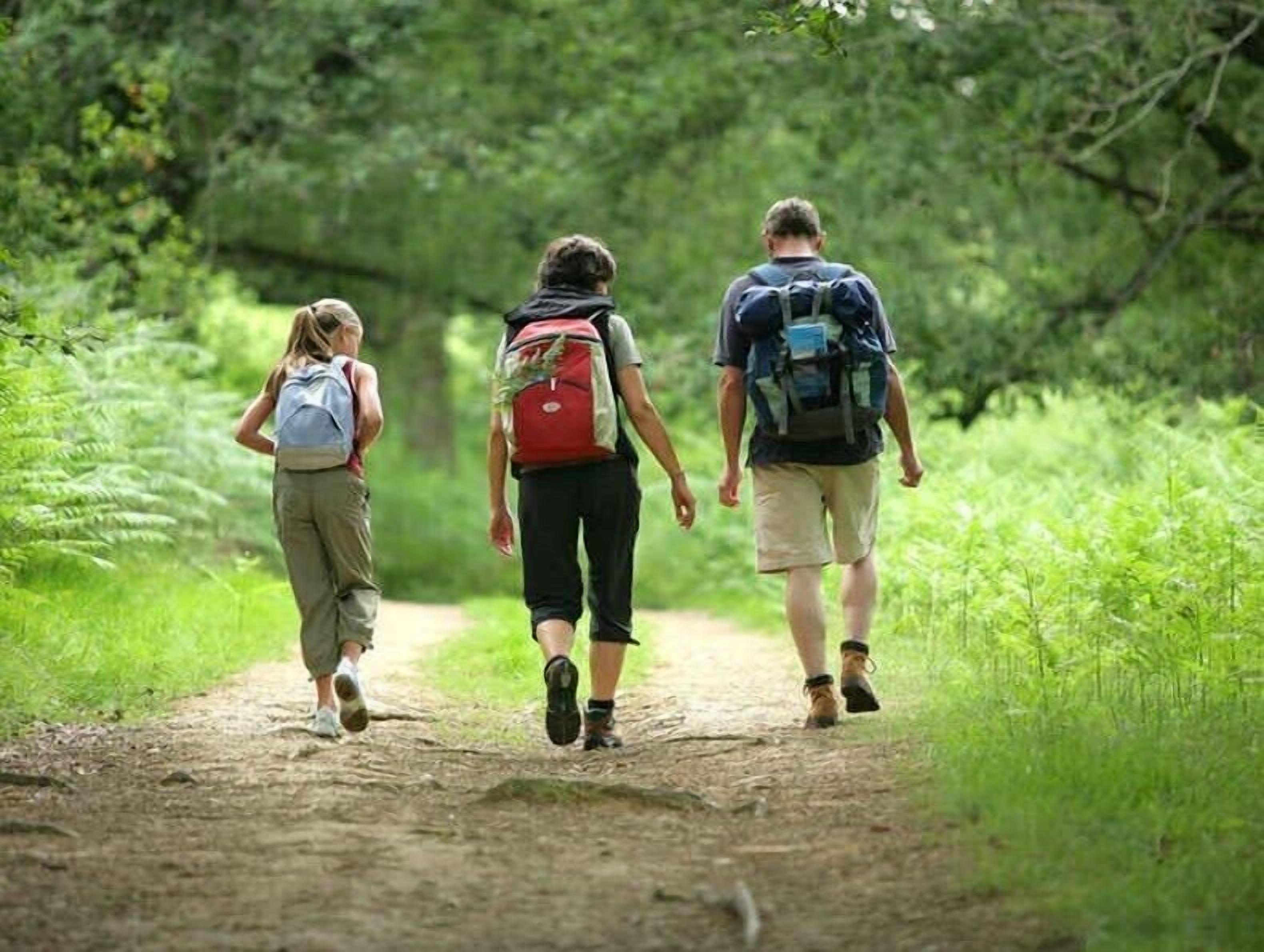 Three people walking on a dirt path surrounded by greenery.