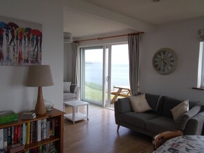 电视、壁炉、DVD 播放器、书