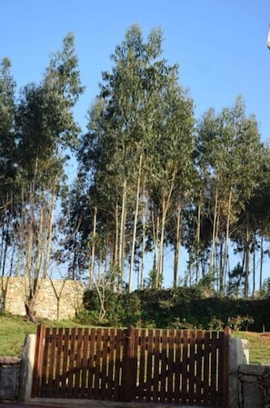 Une clôture en bois avec des lattes verticales, un mur de pierre et une zone herbeuse avec des arbres en arrière-plan.