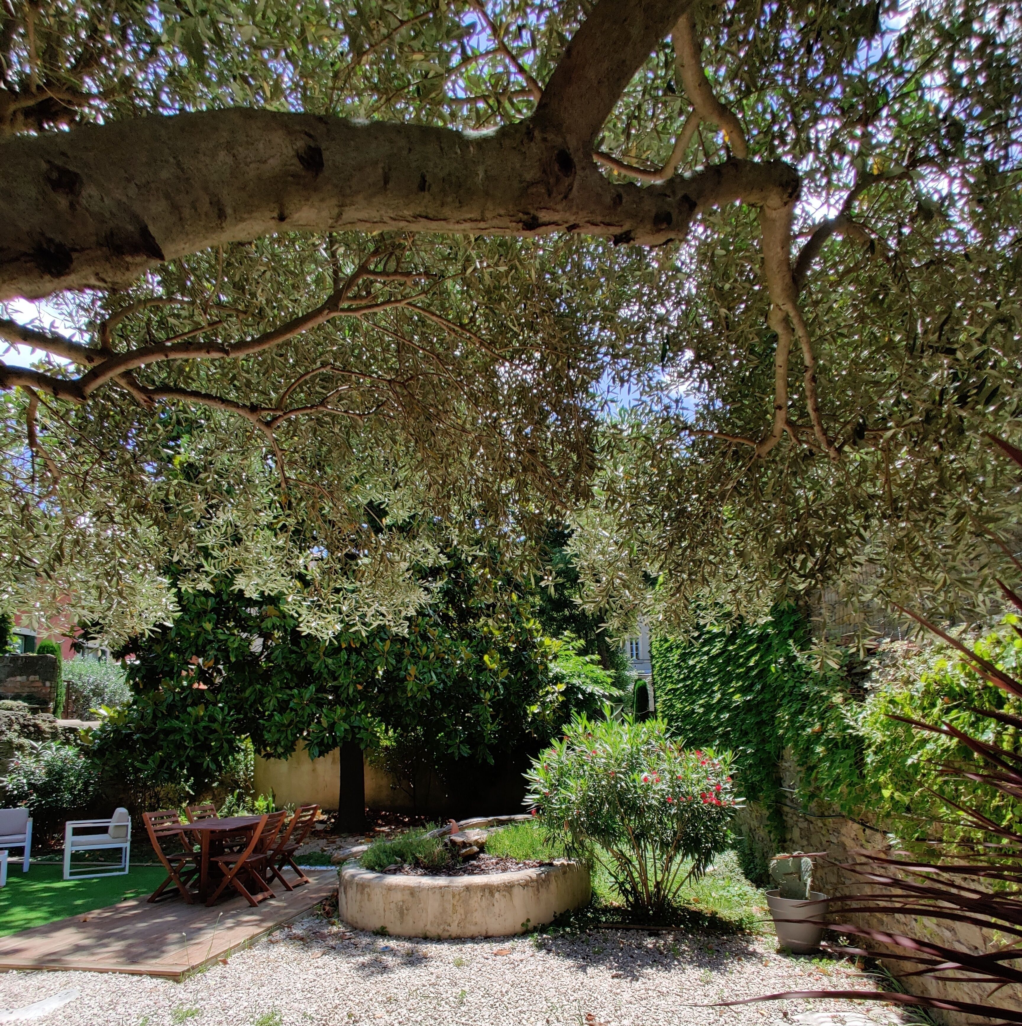 Photo - Chambres d'hotes - Le Magnolia