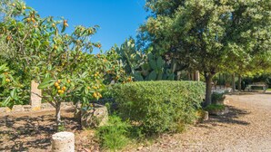 Un jardin avec des cactus, une haie et un chemin pavé de pierres.