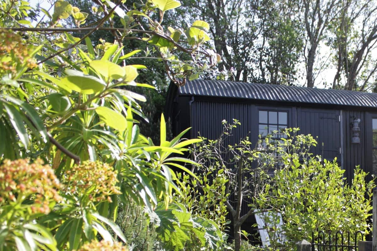 A small, dark-colored building surrounded by lush greenery and trees.