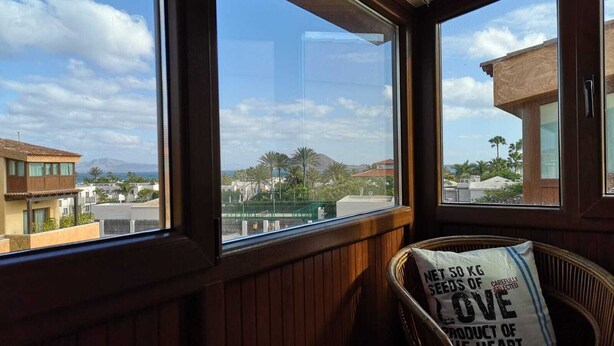 A room with large windows offering a view of a residential area with houses and palm trees.