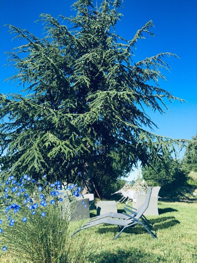 Character cottage in Haute Provence