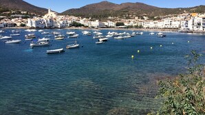 A coastal town with numerous boats docked in a clear blue harbor.