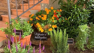 Terrein van de accommodatie