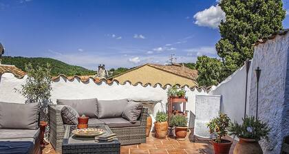 The essence of Provence