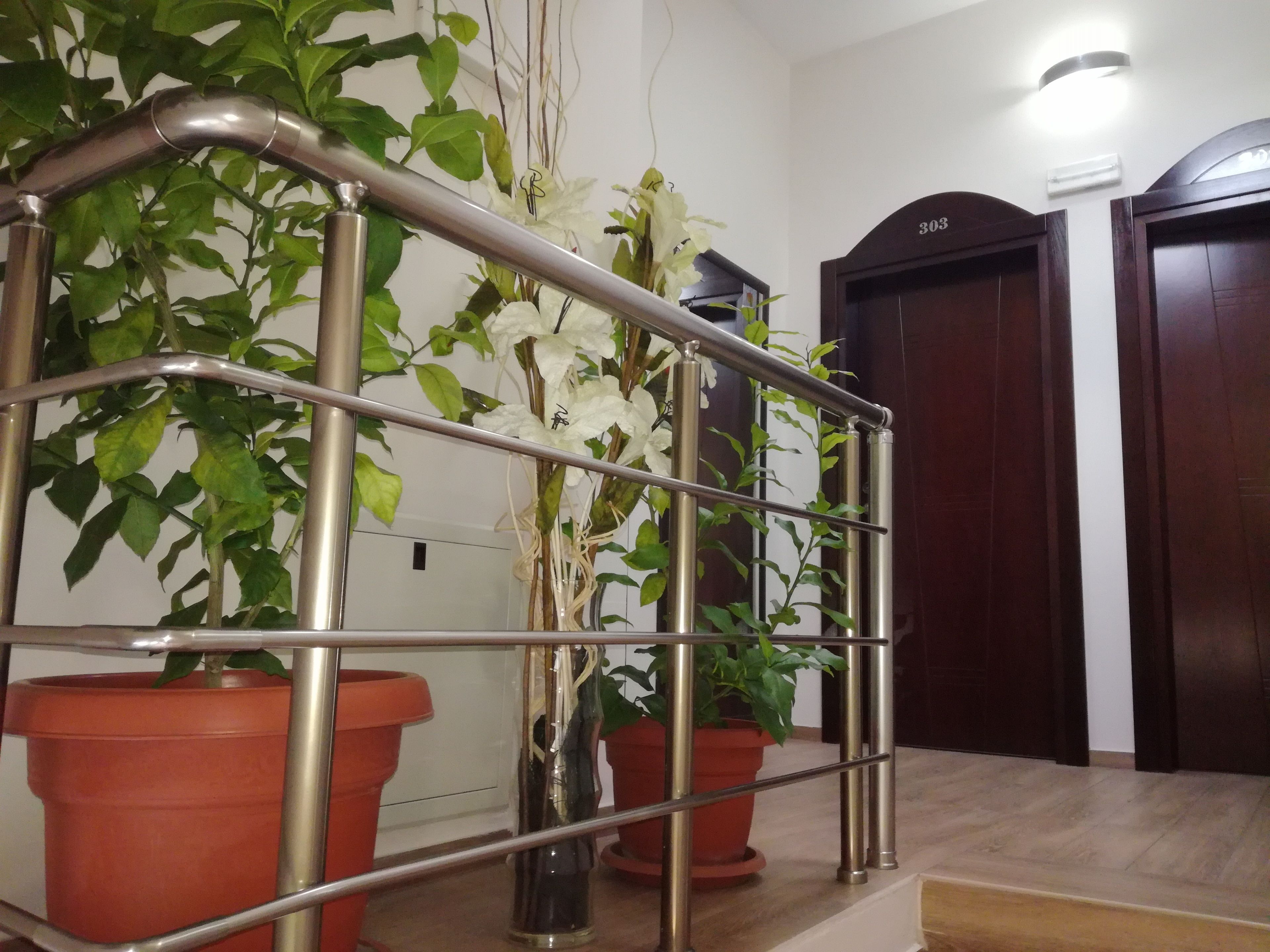 Una escalera con barandillas de metal, rodeada de plantas en macetas y una puerta de madera.