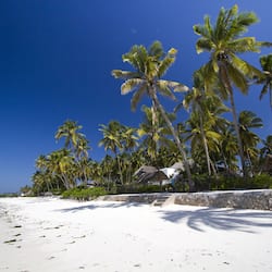 On the beach, white sand