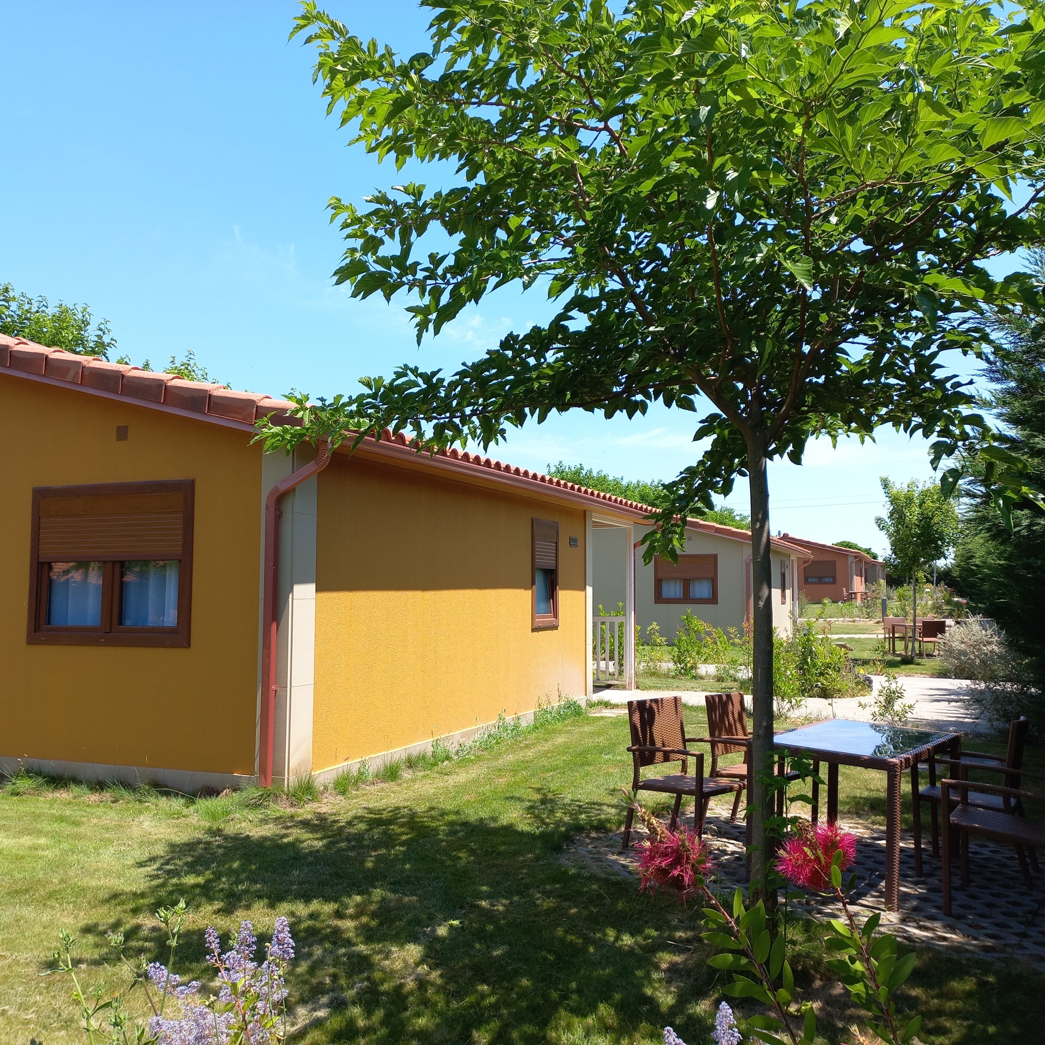 A yellow building with a tiled roof, a grassy yard, and a tree.