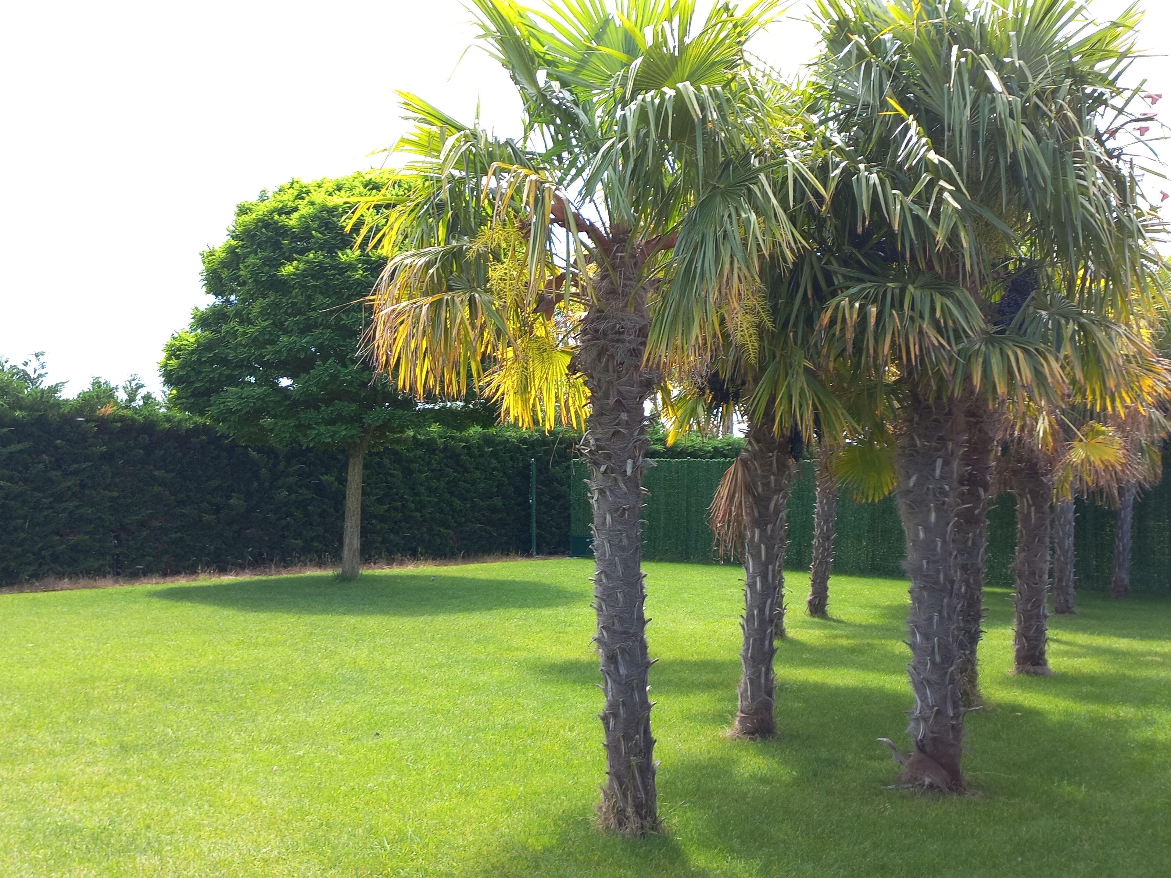 Foto - Natura Resorts