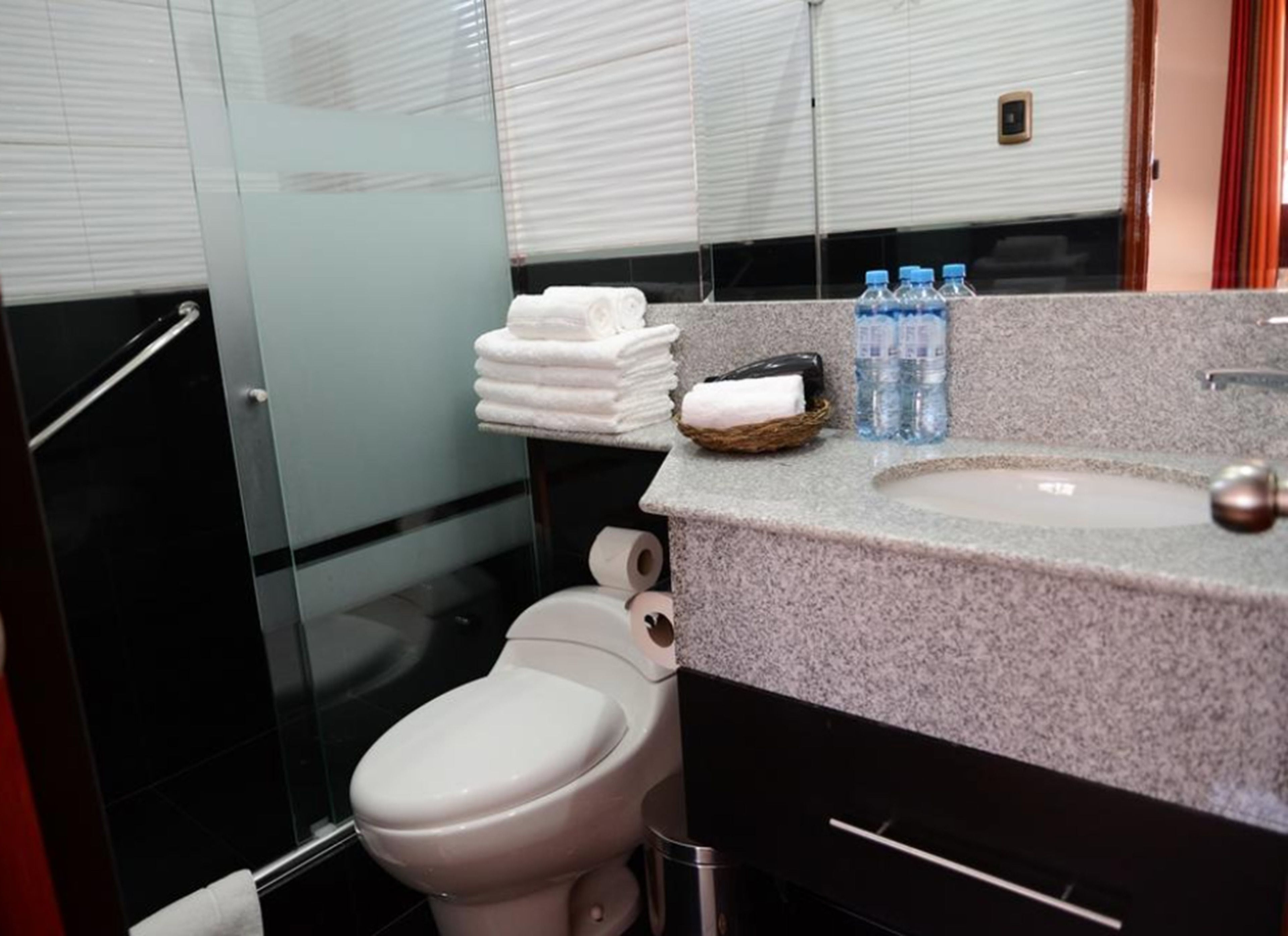 shower, rainfall showerhead, free toiletries, hair dryer