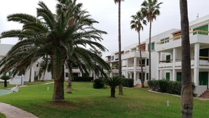A courtyard with palm trees, a stone pathway, and a white building with green shutters.