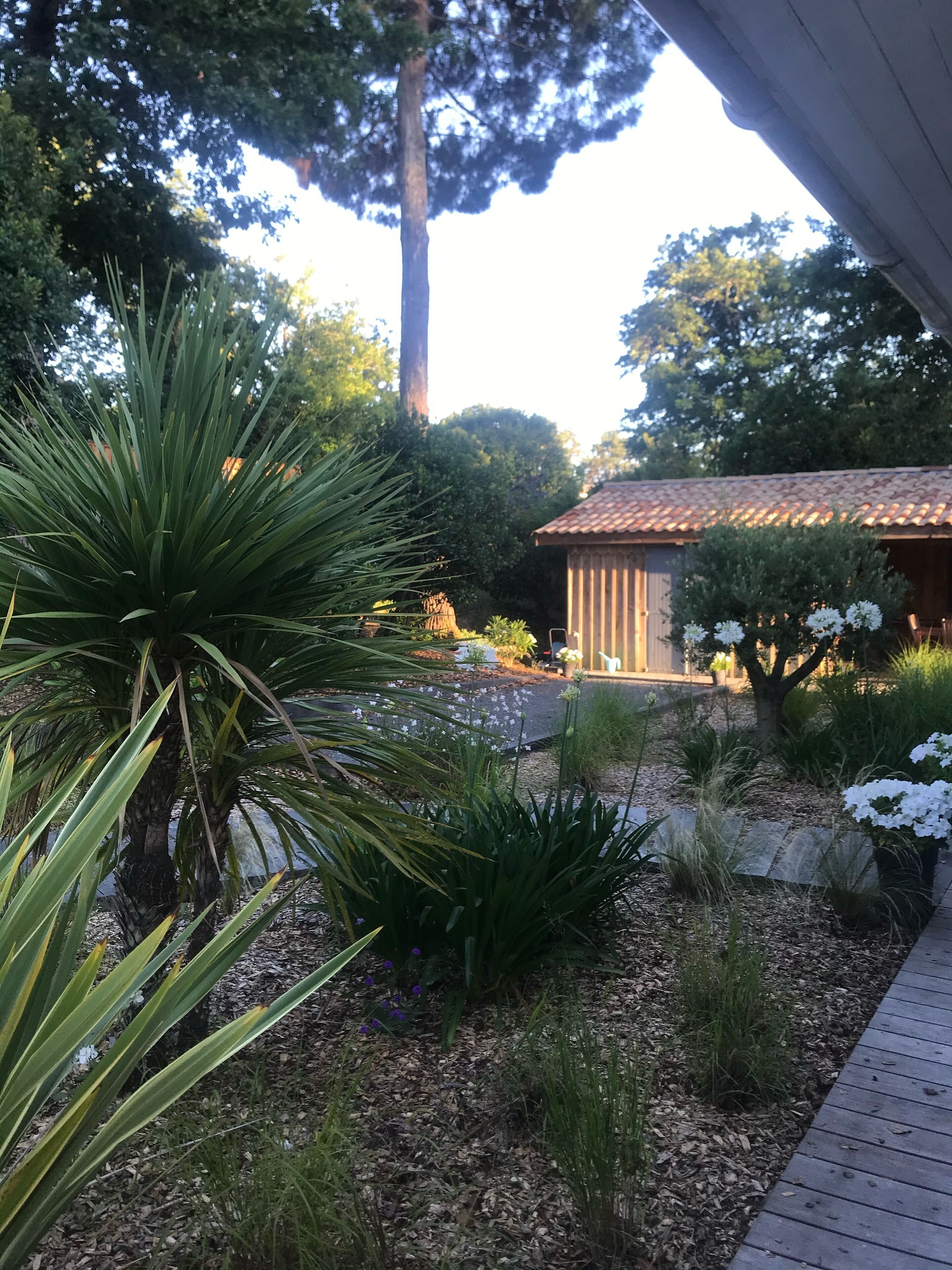 Cap Ferret, Villa in Grand Piquey, beaches of the basin on foot