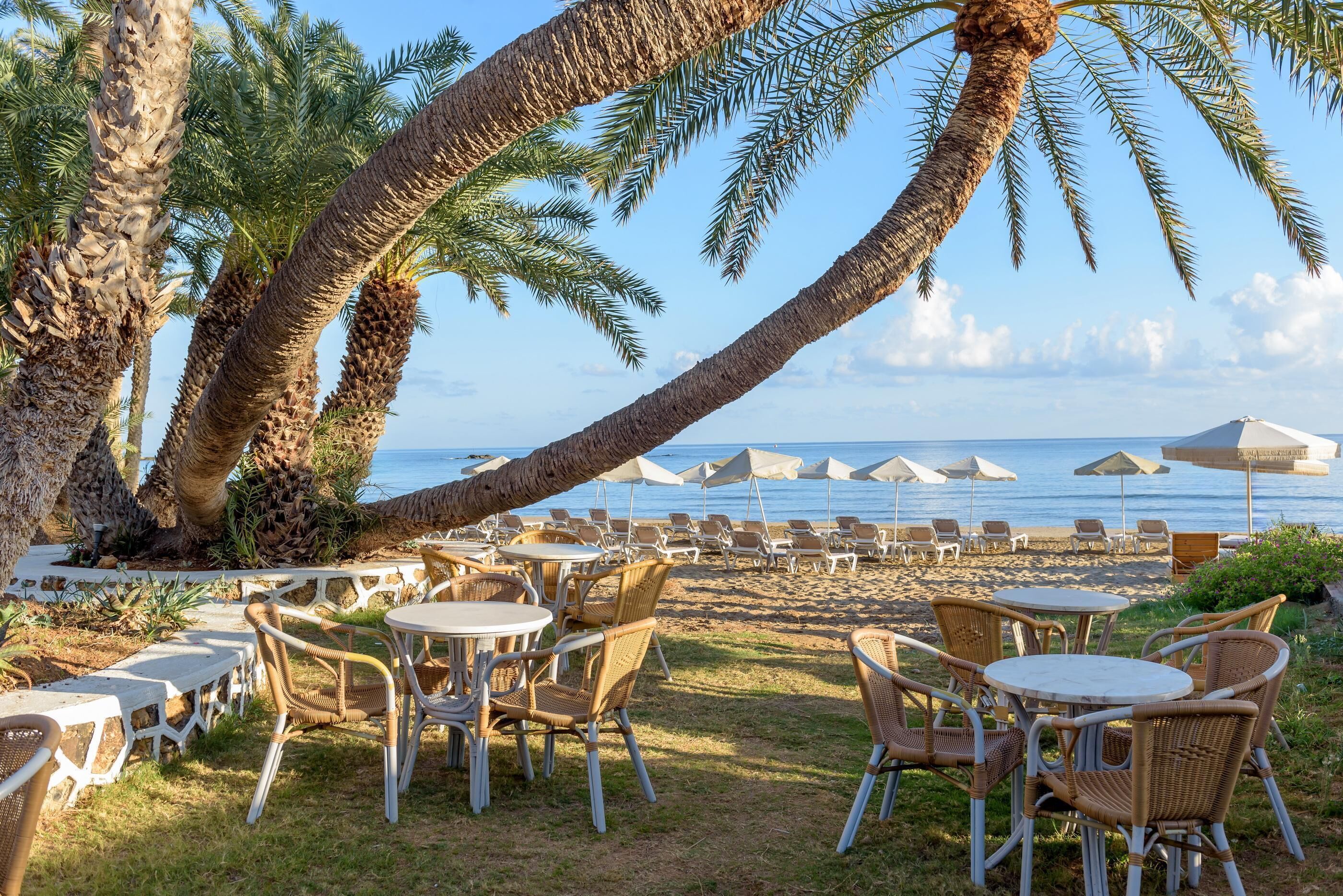 A beachside outdoor seating area with wicker chairs and tables, palm trees, and umbrellas.