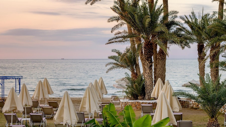 Zeus Hotels Palm Beach