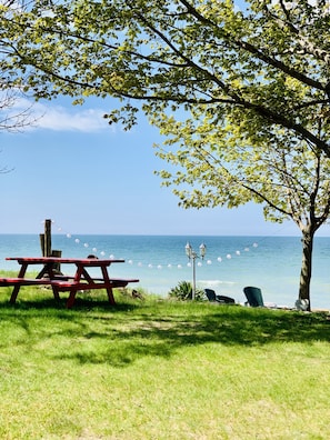 Relax by the ocean with a picnic table and bench, shaded by a tree and lit by string lights.