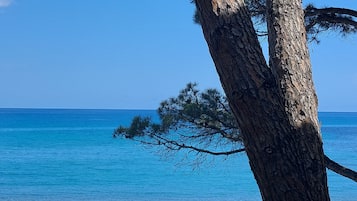 Una spiaggia nelle vicinanze, lettini da mare