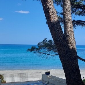 A coastal view with a clear blue sky, a sandy beach, and a tree in the foreground.