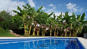 A swimming pool with clear blue water, surrounded by lush banana trees and greenery. - Sleeps 8 | Villa Pinomar | CG R865 (Nerja)