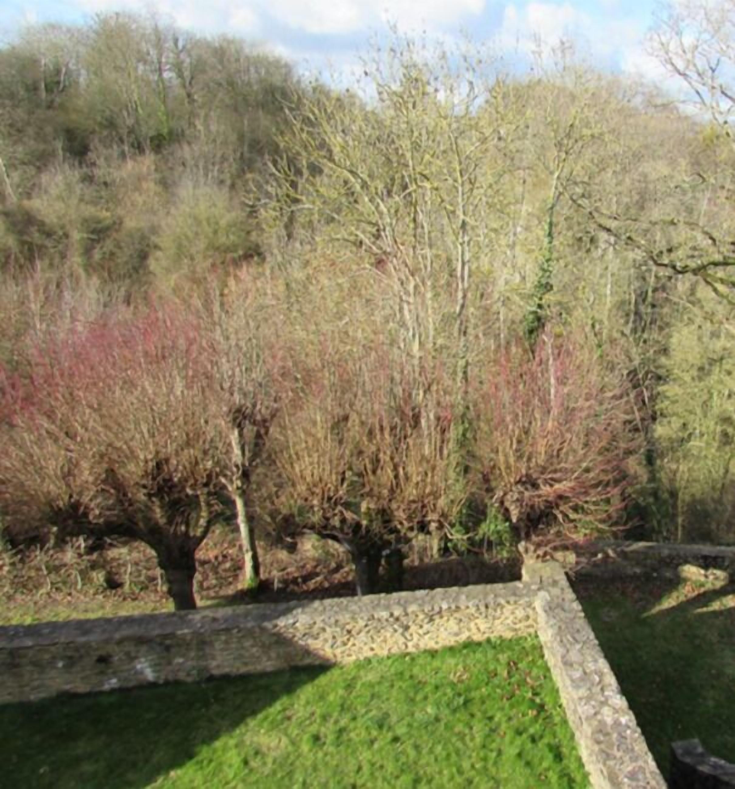 A stone wall surrounding a grassy area with trees in the background.
