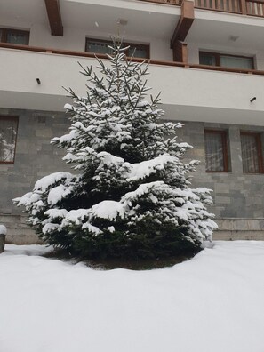 Détail de l’extérieur