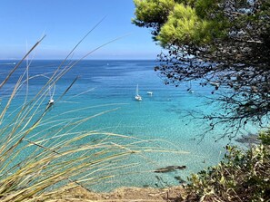 Beach nearby, sun loungers