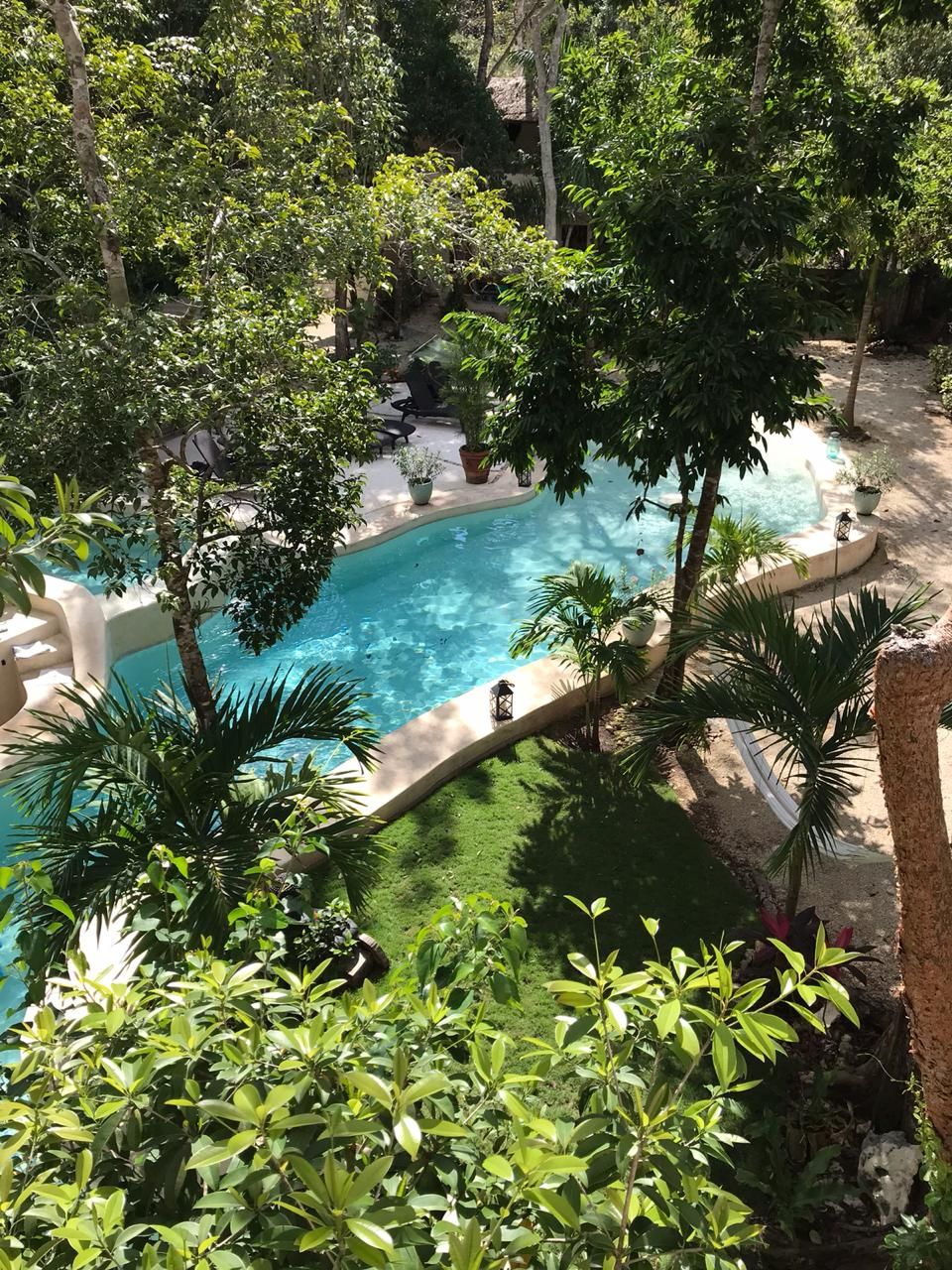 A swimming pool surrounded by lush greenery and a clear blue sky.