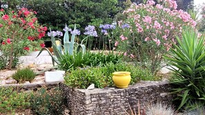 المنطقة المحيطة بالمنشأة