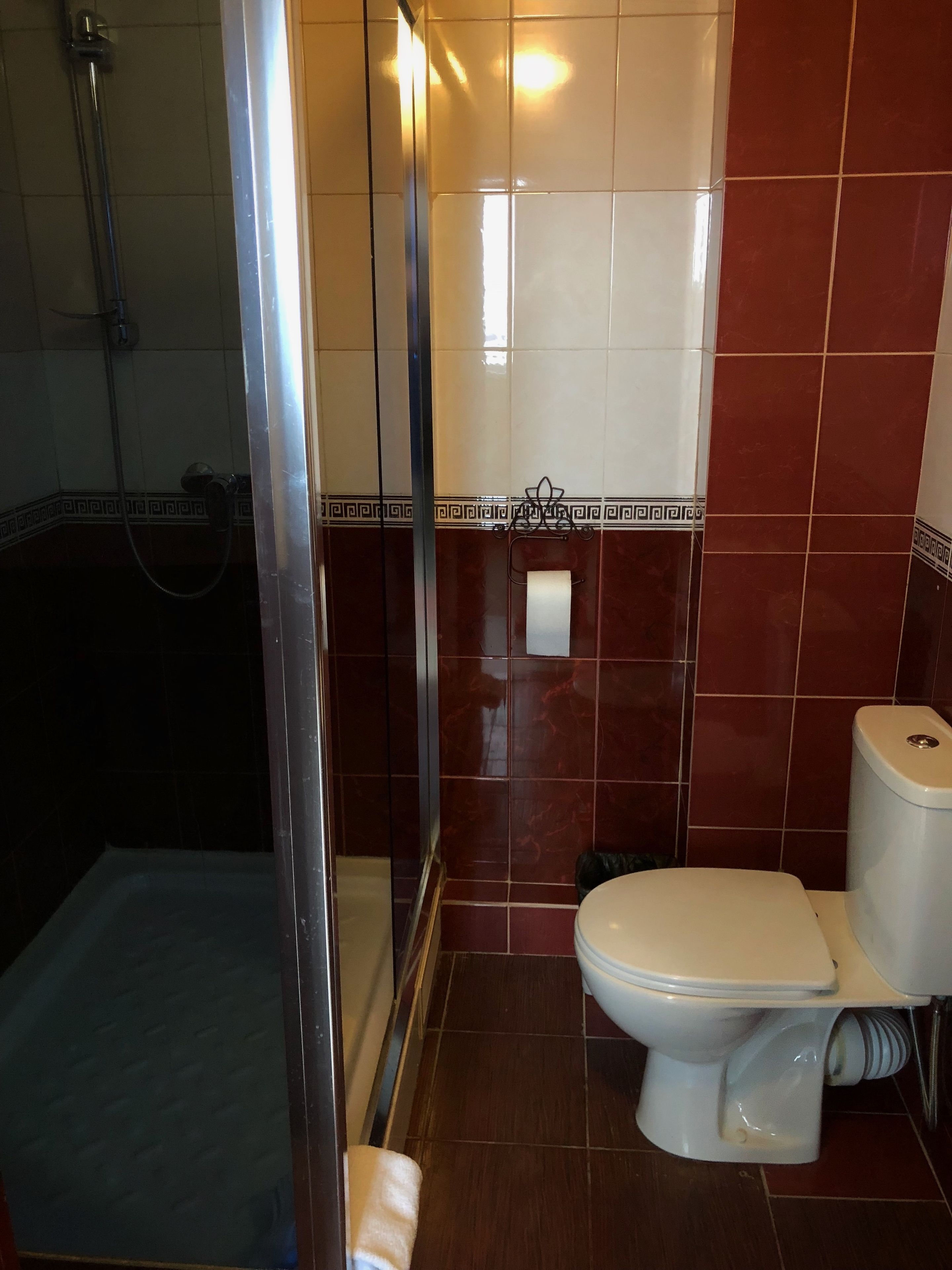 A bathroom with a shower, toilet, and a glass partition.