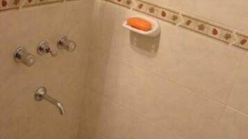 Shower, bidet, towels, soap