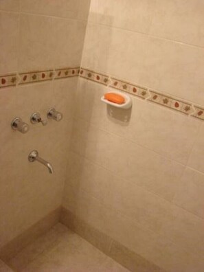 Shower, bidet, towels, soap - COME TO MENDOZA! COME TO WELCOME HOME !! (Godoy Cruz)