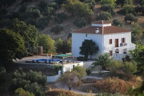 Exterior - Rural casa set amonst the olives (Martos)