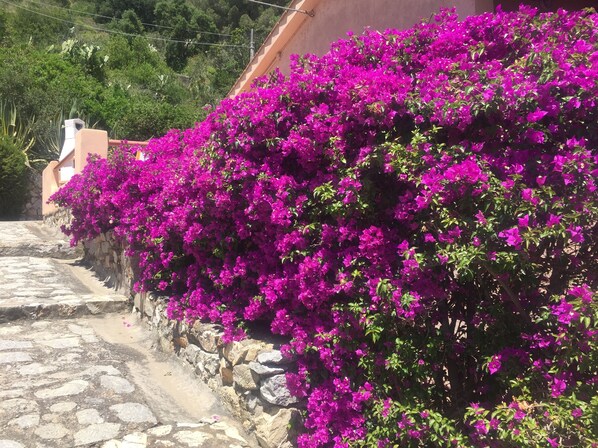 Overnatningsstedets område