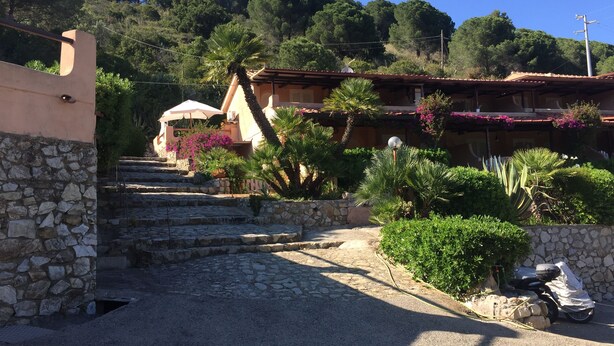A stone pathway leading to a building with a tiled roof, surrounded by lush greenery and a clear blue sky.