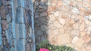 Un mur de pierre avec une partie peinte en bleu, des fleurs roses et des plantes vertes.