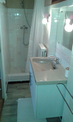 Shower, hair dryer