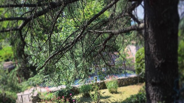 Eine Steintreppe führt durch einen Garten, beidseits mit Geländern.
