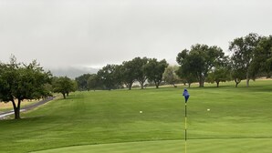A golf course with a flagstick, trees, and a cloudy sky. - Oasis Botique Motel (Raton)