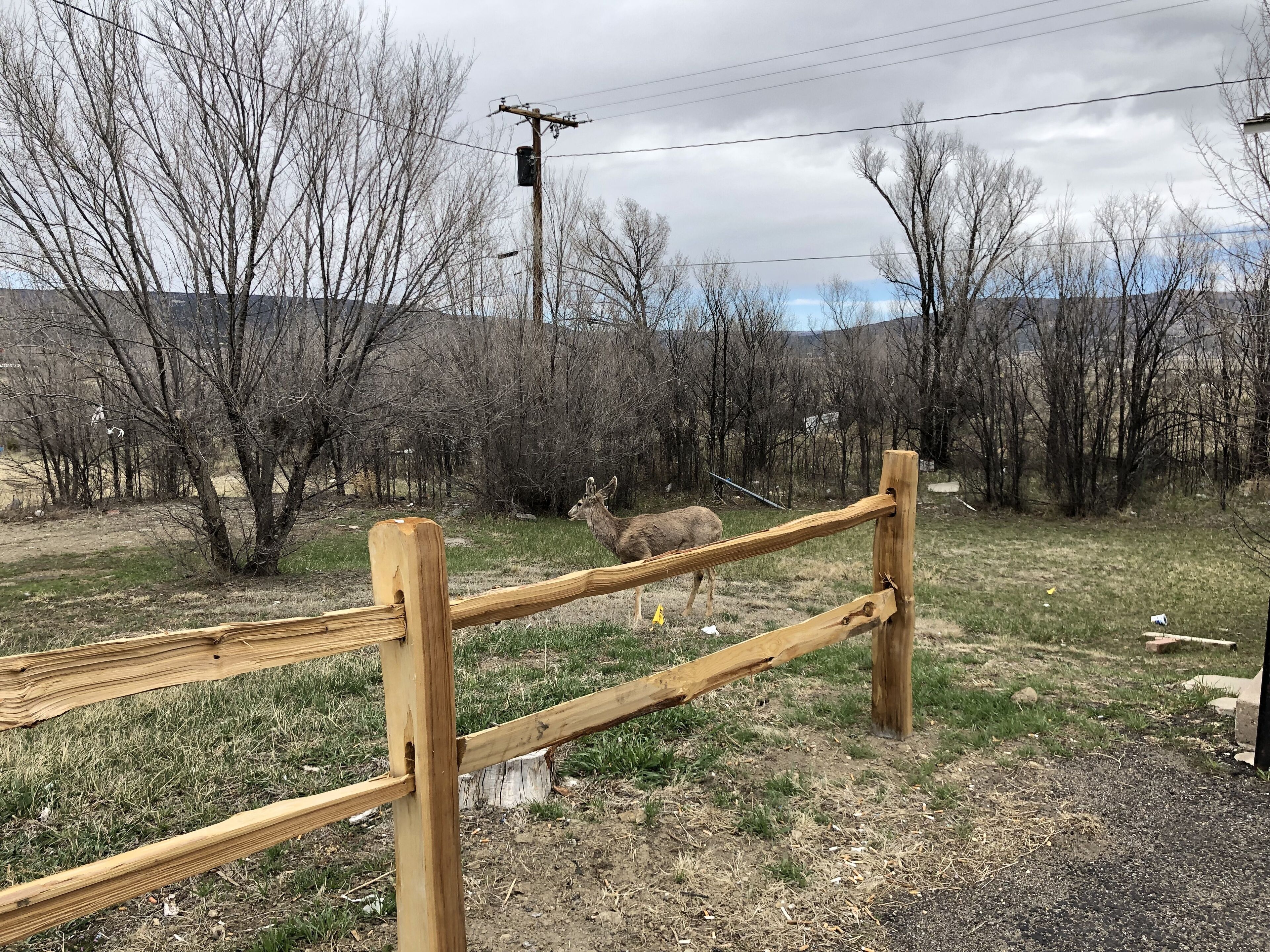 Luxury Double Room, 2 Queen Beds, Non Smoking, Mountain View | View from room