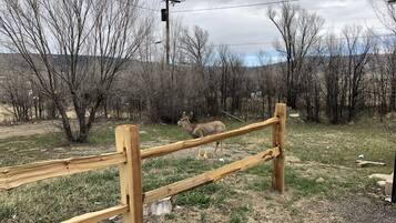 Luxe tweepersoonskamer, 2 queensize bedden, niet-roken, uitzicht op bergen | Kameruitzicht