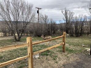 Luxury-Doppelzimmer, 2 Queen-Betten, Nichtraucher, Bergblick | Ausblick vom Zimmer