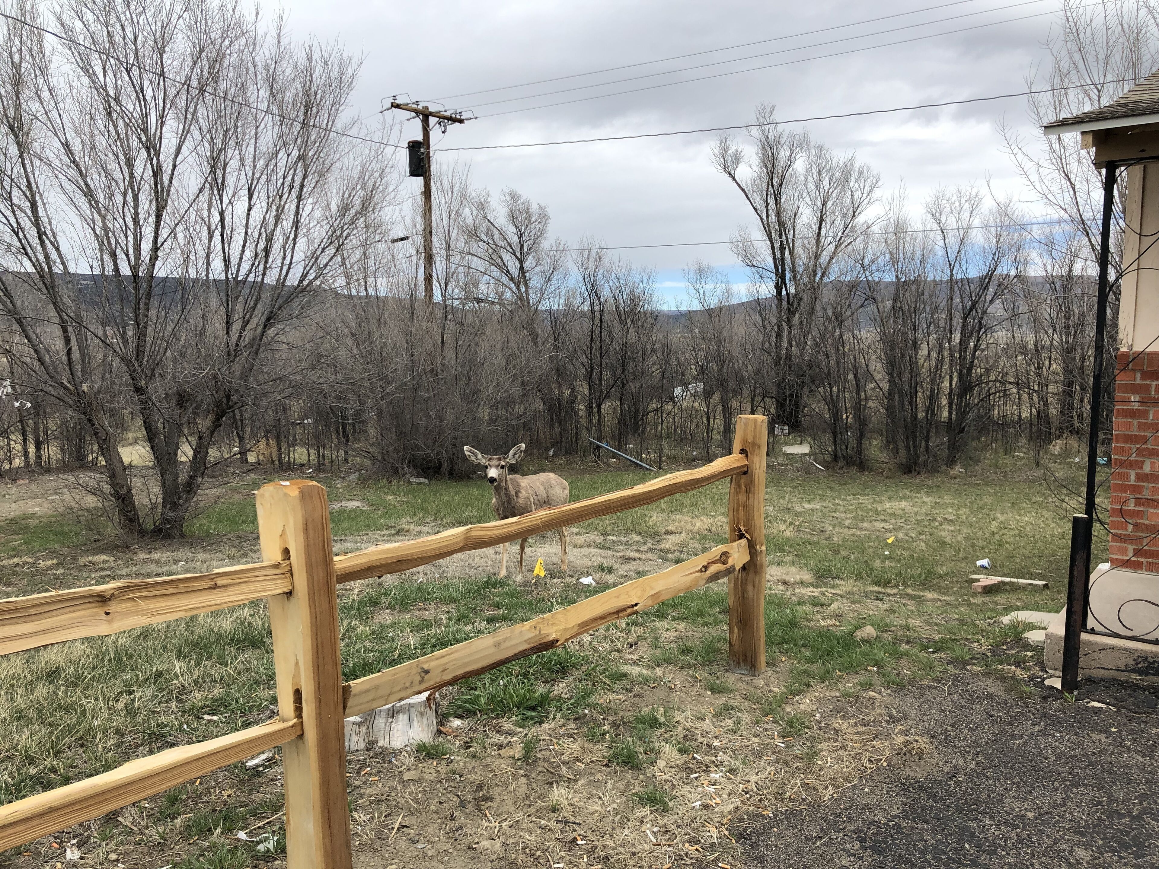 A wooden fence in a natural setting with trees and a clear sky.