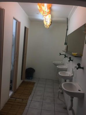 Shower, hair dryer