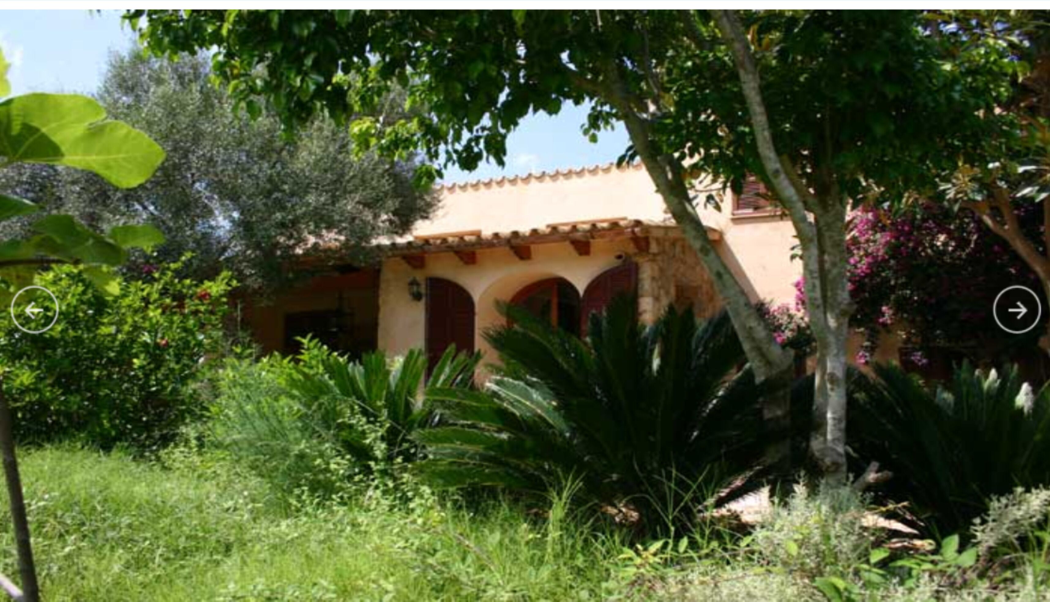 A building with a tiled roof, arched doorways, and surrounded by lush greenery.