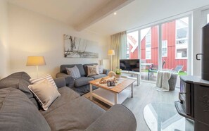 TV connectée, cheminée, lecteur de DVD, livres