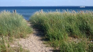 Un sentiero sabbioso che conduce al mare, costeggiato da erba alta.